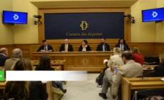 Lav: Italia primo Paese importatore di pelli di canguro in Europa