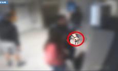 Rapine di orologi di lusso a Milano, arrestato un 18enne - video