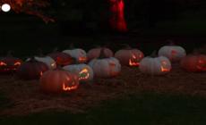 Halloween, un percorso luminoso e "spettrale" ai Kew Gardens di Londra
