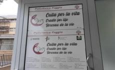 Foggia, inaugurata la "Culla per la vita" per accogliere neonati abbandonati
