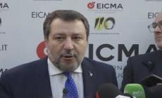 Salvini: "Valutiamo braccialetti e taser per proteggere gli autisti"