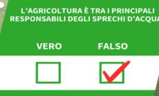 Ansa VERIFIED - L'agricoltura e' tra i principali responsabili degli sprechi d'acqua?