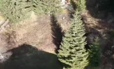 Inseguito con un drone e sequestrato, quattro arresti