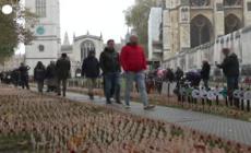 Londra, campo della memoria per le vittime della I Guerra mondiale