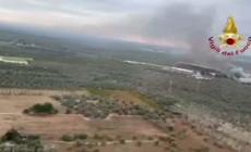 Fiamme in una ditta di rifiuti nel Barese, le immagini dall'alto