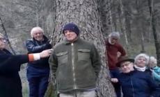 Val di Ledro, l'appello al Papa: "Salviamo gli abeti destinati a San Pietro"