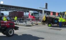 Nuove proteste degli agricoltori in Francia e Inghilterra