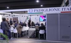 Maire: nei paesi cresce consapevolezza su transizione, nodo competenze