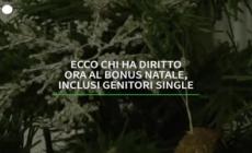 Bonus Natale, oggi termine ultimo per la domanda per i dipendenti pubblici