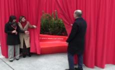 Unipol installa la sua sesta panchina rossa contro la violenza sulle donne