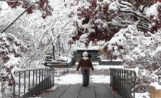 Seoul in bianco, la nevicata novembrina piu' forte del secolo