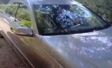 Grillo: "I valori del M5S sono scomparsi, sono stati traditi"