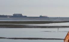 Il "Baca'n", l'isola "che non c'e'" nella Laguna di Venezia