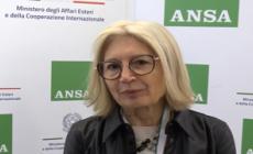 Gatto: "Interscambio con con Corea del Sud arriva a 14 miliardi"