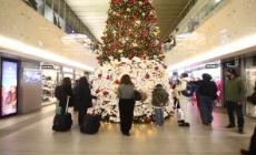 Natale, biglietti e desideri affissi all'albero della stazione Termini di Roma