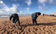 Russia, soccorritori e volontari puliscono una spiaggia del Mar Nero