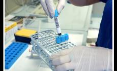 Gli eccidi del 1945: identificate altre quattro persone dopo quasi 80 anni, il Ris di Parma ha analizzato il Dna 