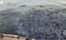 Mar Nero, prosegue la bonifica dopo i naufragi delle due petroliere