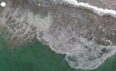 Bali, i volontari ripuliscono la spiaggia dalla spazzatura portata dai monsoni