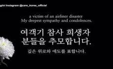 Resta solo dopo il disastro aereo in Corea, cane cerca famiglia - Video