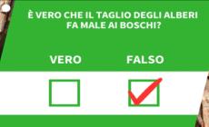 ANSA VERIFIED - E' vero che il taglio degli alberi fa male ai boschi?