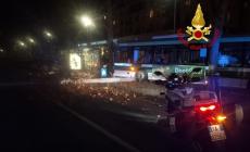 Autobus si schianta contro un albero a Milano: 8 feriti