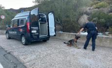 Trovate ossa nel Vicentino: torna l'ipotesi dell'ereditiera americana scomparsa