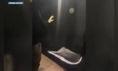 Milano, coltivava droga in una serra allestita in casa: arrestato 29enne