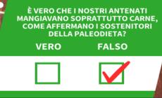 Ansa VERIFIED - E' vero che i nostri antenati mangiavano soprattutto carne, come affermano i sostenitori della paleodieta?
