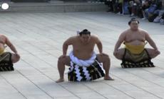 Tokyo, la folla accoglie il nuovo grande campione di sumo