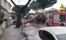 Maltempo in Toscana: forti piogge, allagamenti e fiumi in piena