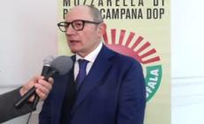 Mozzarella di bufala, il Consorzio di tutela punta sulla promozione