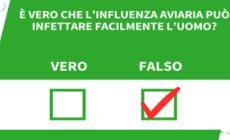 ANSA VERIFIED - E' vero che l'influenza aviaria puo' infettare facilmente l'uomo?