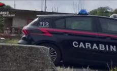 Sequestrata nel Reggino piantagione di marijuana con 1.800 arbusti