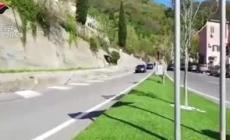 Latitante da oltre due anni arrestato in Calabria