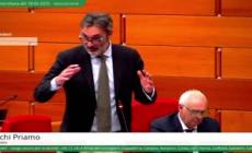 Consigliere regionale di FdI: "Uomo e' violento perche' ha perso virilita'"