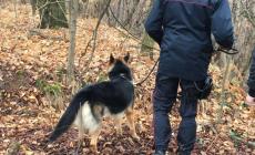 Ragazza morta nei boschi, il 46enne denunciato confessa: "Ero con lei"