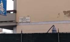 Morso da un cane a Firenze, un neonato sottoposto ad intervento