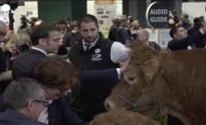 Macron al Salone dell'Agricoltura saluta anche la mucca Oupette, la mascotte