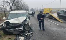 Scontro tra un'auto e il furgone di un dogsitter con 10 cani a bordo - Video