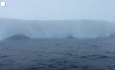 L'iceberg piu' grande del mondo minaccia la fauna selvatica di un'isola - Video