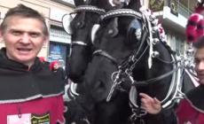 Carnevale di Ivrea, il cavallante: "Tradizione di famiglia tramandata"