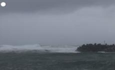 Australia, il ciclone tropicale Alfred si dirige verso la costa orientale
