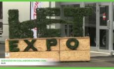 LetExpo, le sfide aziendali tra formazione e sostenibilita'