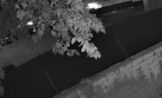 Roma, le immagini della guardia giurata che sparo' al ladro