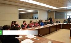 Violenza di genere, "Aumento +6% reati sessuali, 91% vittime donne"