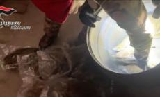 Deposito per stoccaggio marijuana in casa, arrestato un 35enne