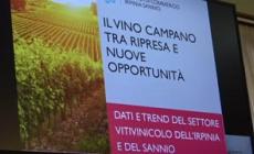 Vinitaly, Irpinia e Sannio pronti all'appuntamento di Verona