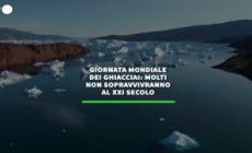 Giornata mondiale dei ghiacciai: molti non sopravvivranno al XXI secolo