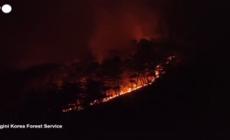 Brucia la Corea del Sud, gli incendi boschivi visti dall'alto